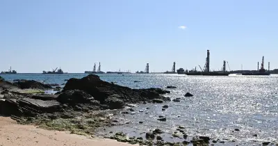 辺野古新基地、大浦湾の砂ぐい9500本で6月は進展なし