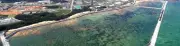 辺野古新基地、総面積205ha・V字滑走路2本 埋め立て160ha