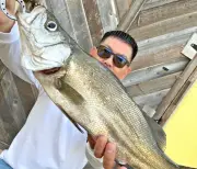 幻の魚ヒラスズキを釣り上げた天久聡さん、沖縄本島で記録なし