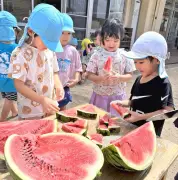 園児が育てたスイカに舌鼓 名護市の認定こども園で収穫