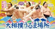 大相撲うるま場所12月開催 闘牛会場が土俵に 美ノ海が故郷で勇姿