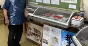 越来グスクミニミニ博物館、設置1周年 城前公民館で出土品展示 新里会長が鑑賞呼びかけ