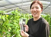 県産バニラ生産拡大へ 技術広め年2トン目標 沖縄バニラ産業推進協会が意欲