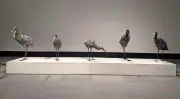 金属で鳥彫刻、ニシダさん初個展 那覇市民ギャラリーで「琉球飛禽図譜」