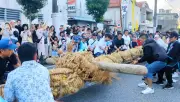 西原大綱引きで東が雪辱、約600人が熱戦 浦添市