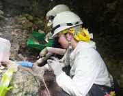 沖縄戦81年、大学生60人が糸満で遺骨収集　平和の尊さ学ぶ