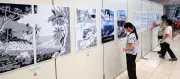 「ペリリュー」外伝のパネル展、那覇・タイムスビルで18日開幕