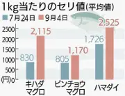 台風で鮮魚セリ値高騰、キハダマグロ2.5倍の2115円に